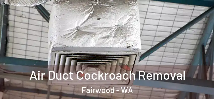 Air Duct Cockroach Removal Fairwood - WA