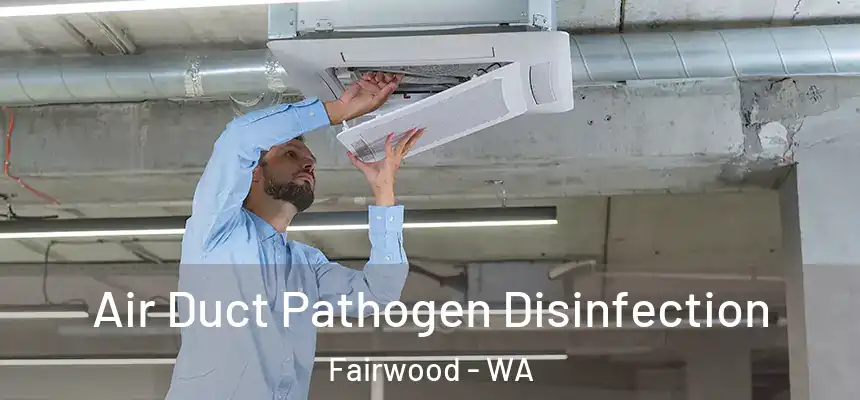  Air Duct Pathogen Disinfection Fairwood - WA