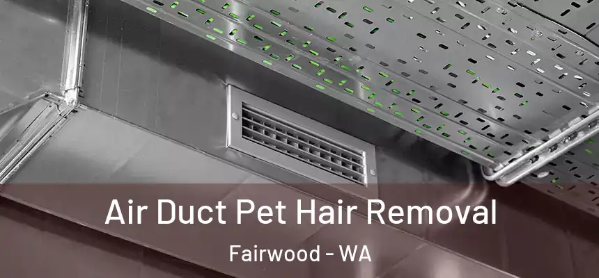  Air Duct Pet Hair Removal Fairwood - WA