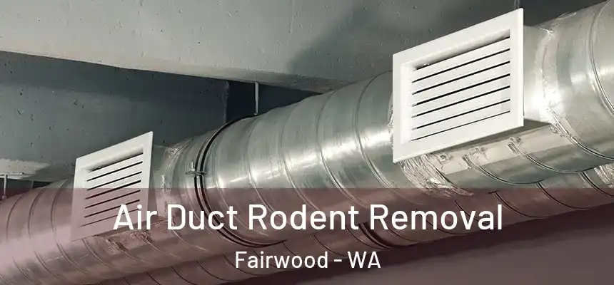  Air Duct Rodent Removal Fairwood - WA