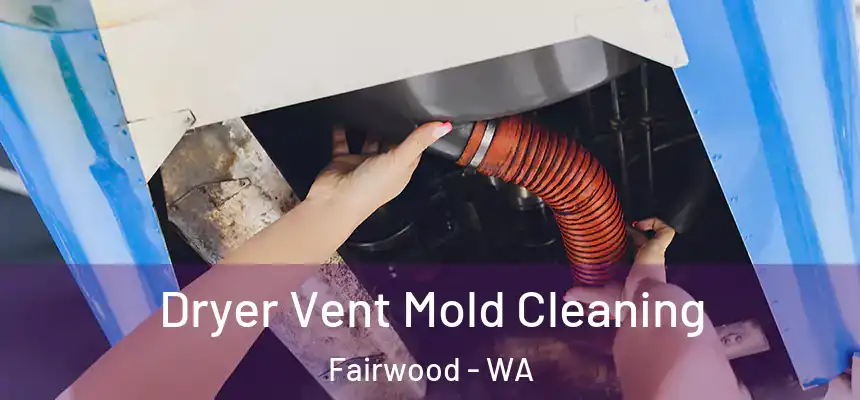 Dryer Vent Mold Cleaning Fairwood - WA