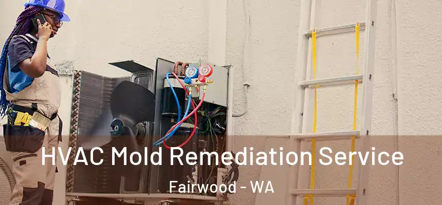  HVAC Mold Remediation Service Fairwood - WA