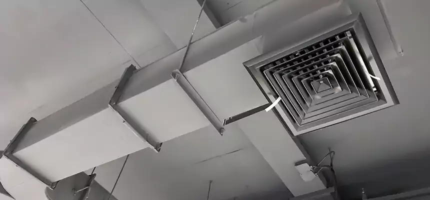 Restorative Allergy Relief Vent Cleaning – Coil, Blower & Housing Detail in Fairwood