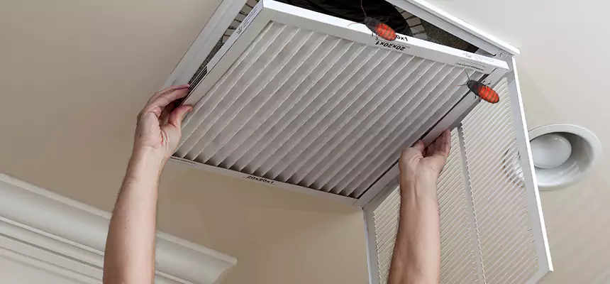 Our Insect Removal from Air Ducts Services in Fairwood, WA