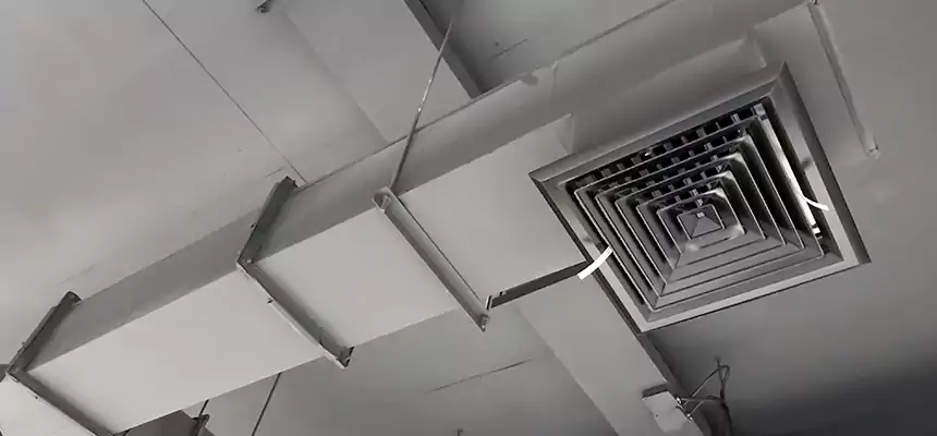 Our Rodent Droppings In Vents Services in Fairwood, WA