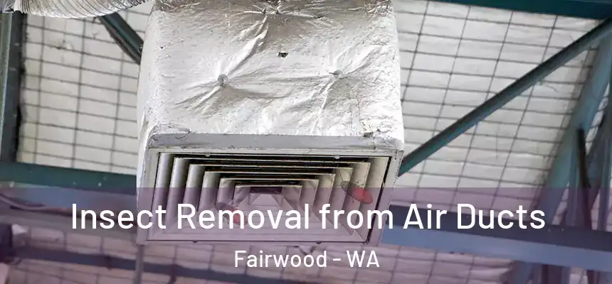  Insect Removal from Air Ducts Fairwood - WA