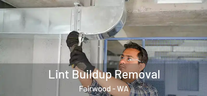 Lint Buildup Removal Fairwood - WA