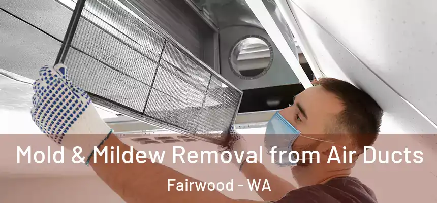  Mold & Mildew Removal from Air Ducts Fairwood - WA