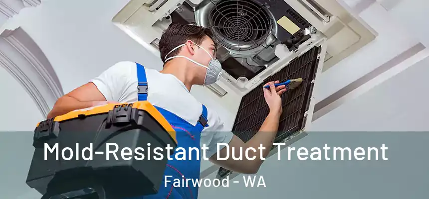 Mold-Resistant Duct Treatment Fairwood - WA