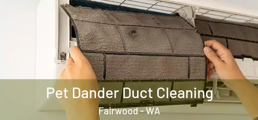 Pet Dander Duct Cleaning Fairwood - WA