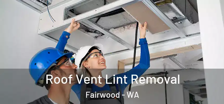  Roof Vent Lint Removal Fairwood - WA