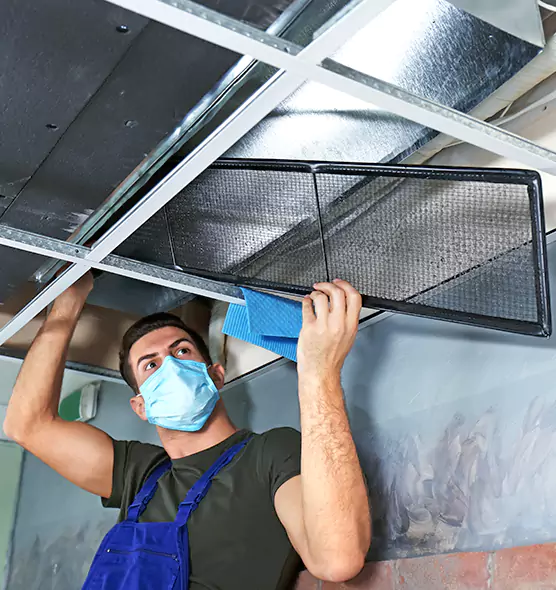 About Air Duct Bacteria Removal in Fairwood