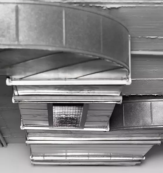 Professional Air Duct Pest Removal in Fairwood, WA