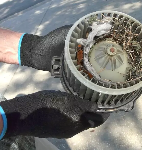 About Air Duct Rat Removal in Fairwood, WA