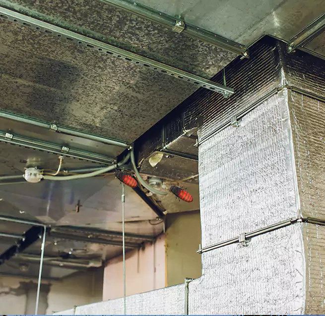 Why Homeowners & Businesses Trust Us in Fairwood, WA?