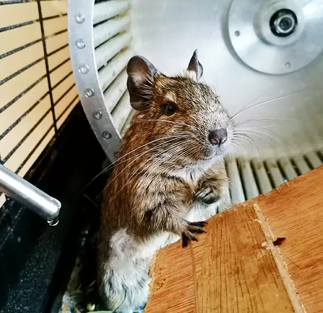 Why Homeowners & Businesses Trust Us Fairwood, WA