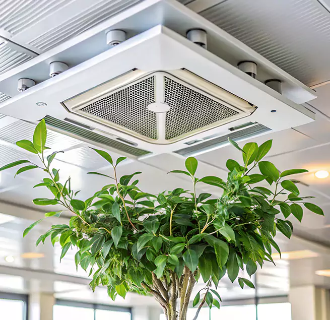 Why Homeowners & Businesses Trust Us in Fairwood, WA?