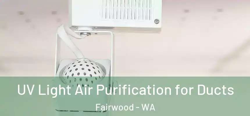  UV Light Air Purification for Ducts Fairwood - WA